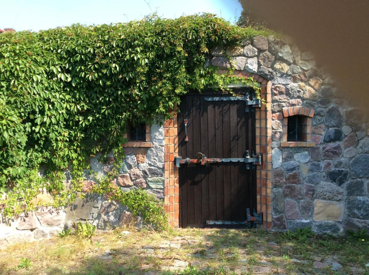 Winnica "Zabi Raj" Skarszewy Exteriör bild