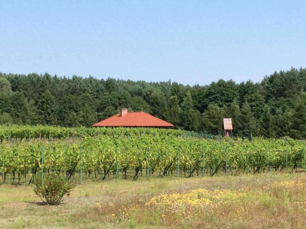 Winnica "Zabi Raj" Skarszewy Exteriör bild